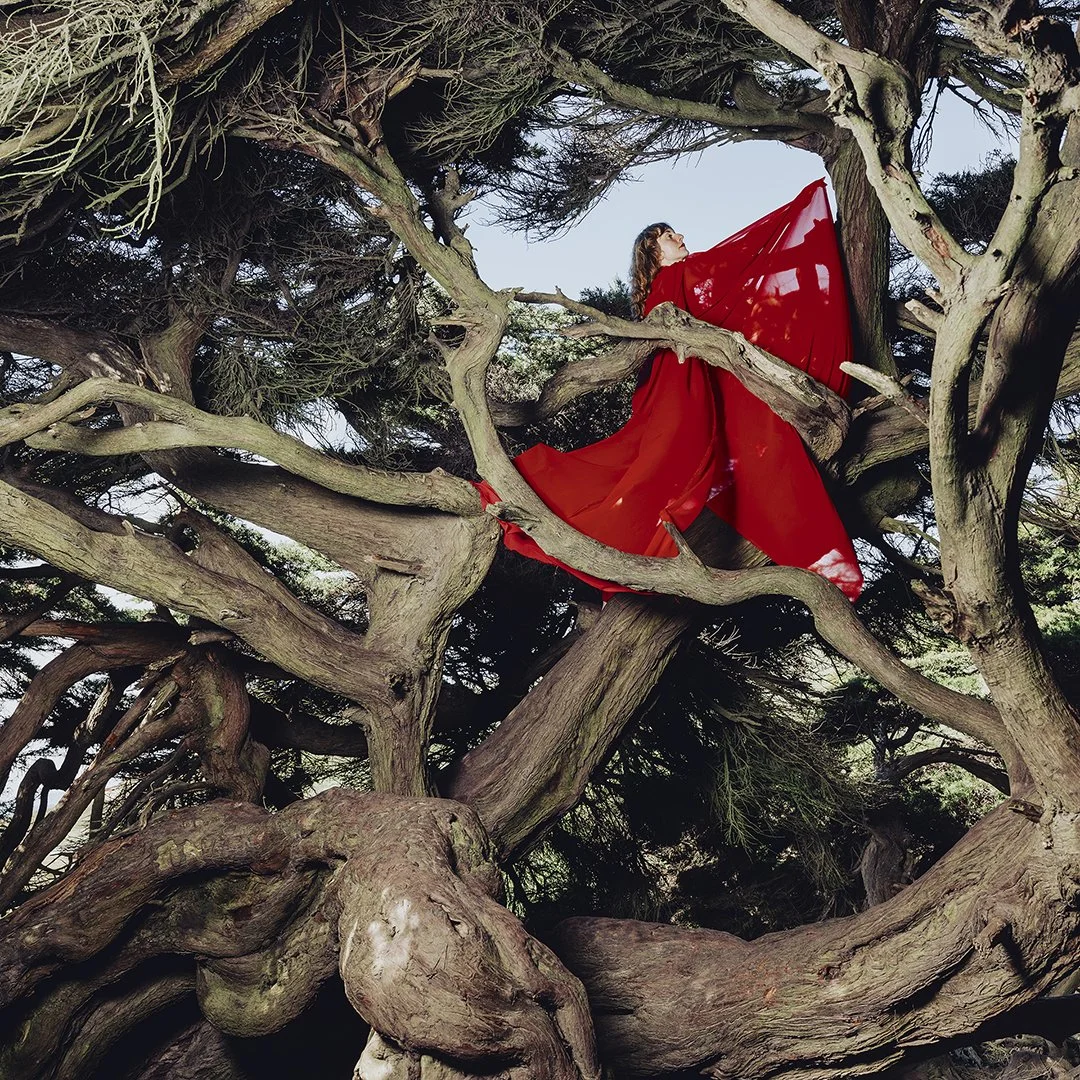 Hannah Frances Ensemble presents: Nestled in Tangles