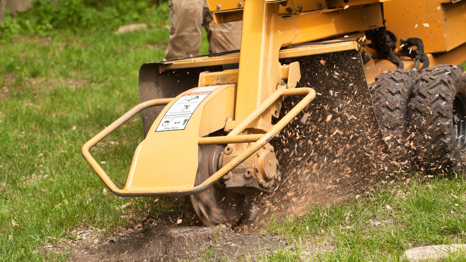 Impact Arbor Services | Enhance Your Trees Today — Call Now