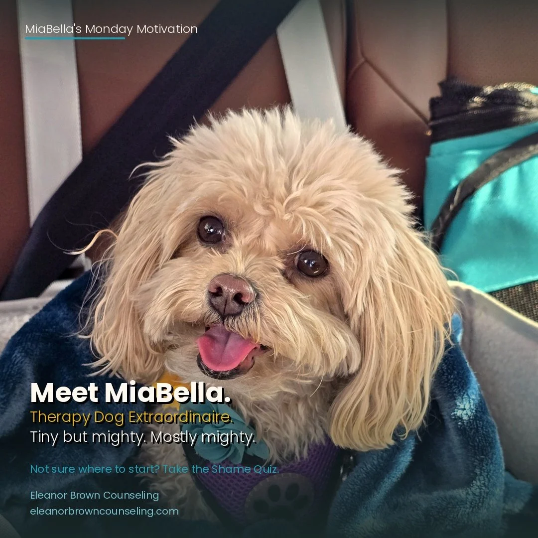 MiaBella&rsquo;s Monday Motivation

Some of you already know her&hellip; but if you don&rsquo;t, this is MiaBella.

My Therapy Dog Extraordinaire.

She doesn&rsquo;t have credentials, but she knows how to sit close, stay present, and somehow make thi