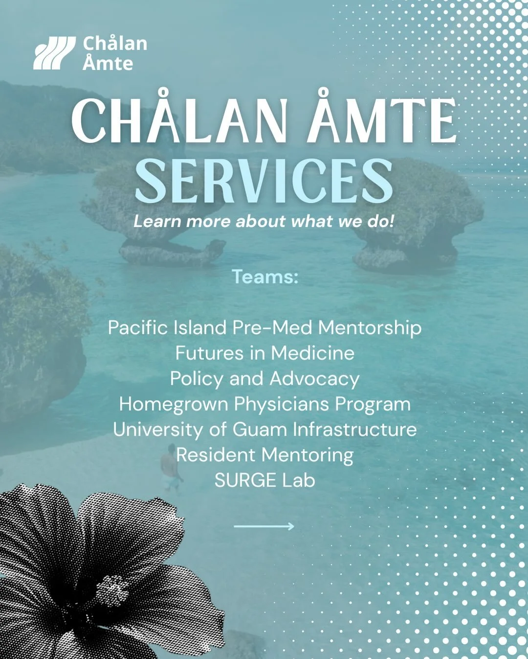 Ch&aring;lan &Aring;mte&rsquo;s impact is made possible by the work of our incredible teams! 👥

Each team has a unique mission: from advocating for community health, to mentoring future physicians, to creating opportunities for students interested i