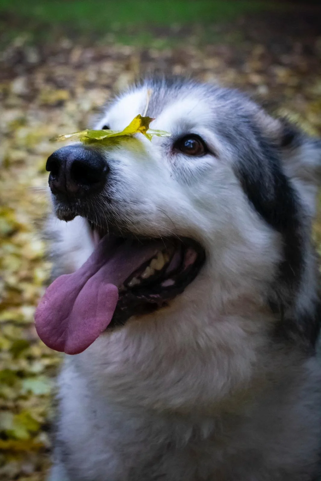 WhatsApp Image 2024-04-18 at 08.17.25 (5).jpeg