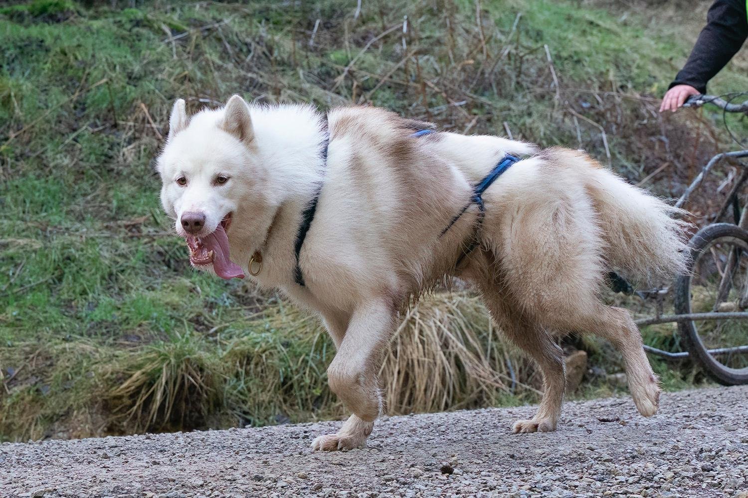 WhatsApp Image 2024-04-18 at 08.17.25 (6).jpeg