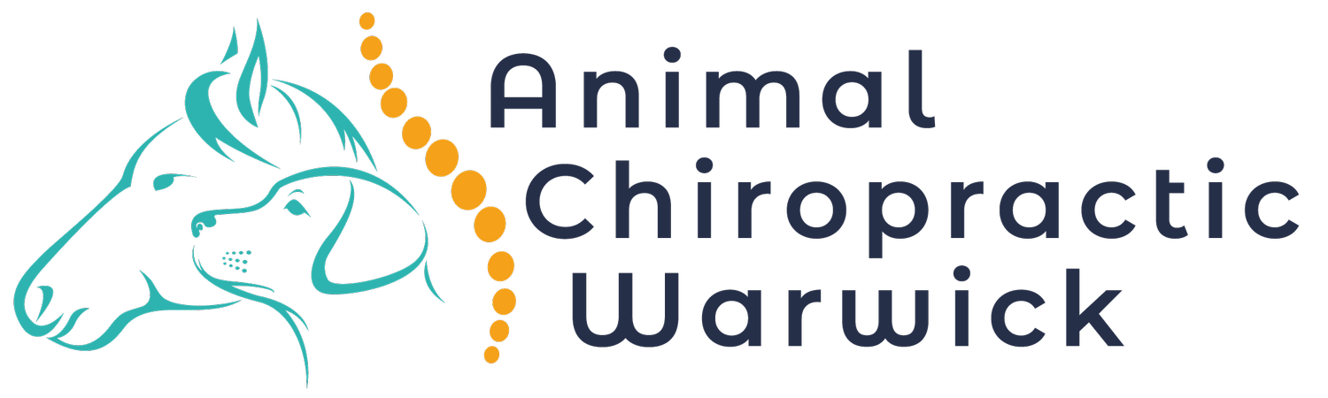 Animal Chiropractic Warwick