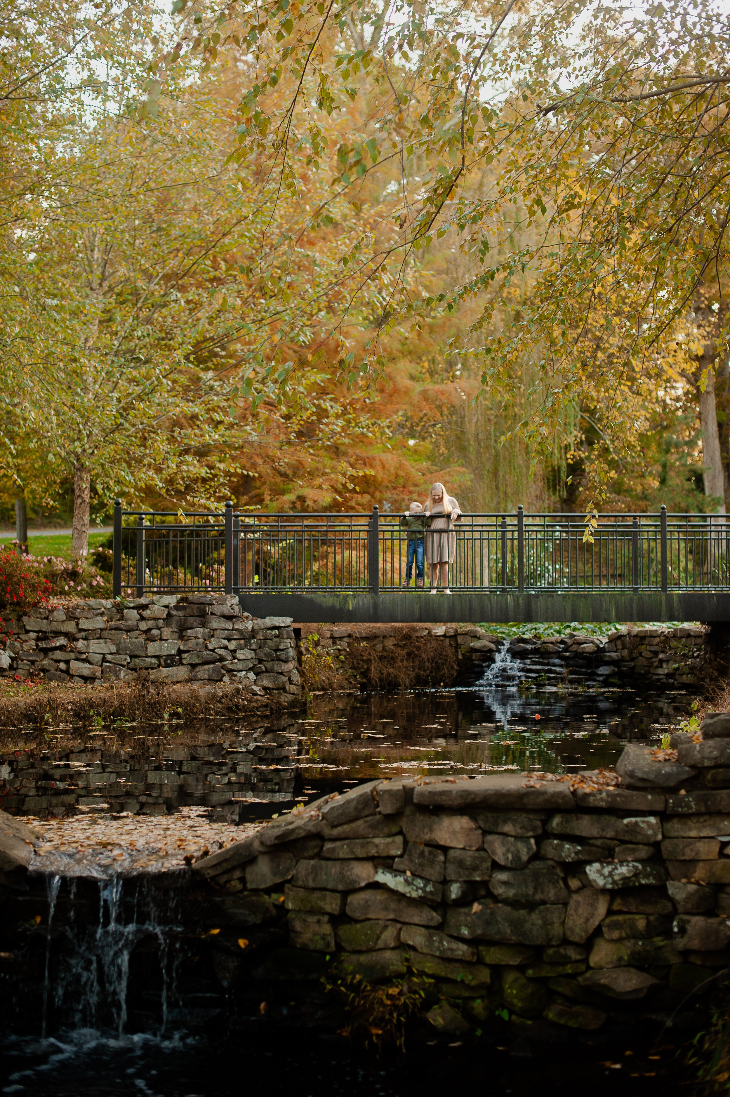 rollins_fall2022_115.jpg