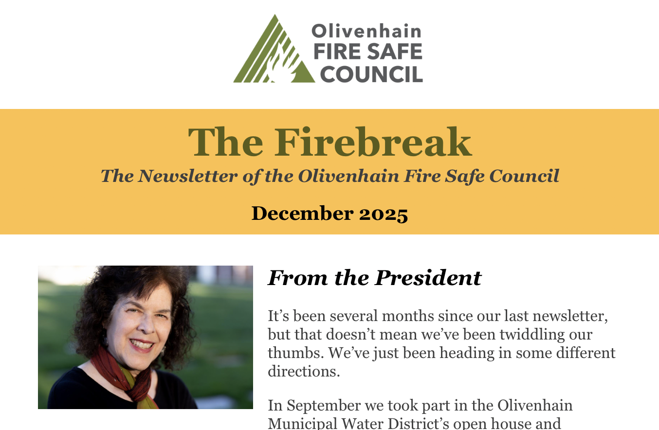 The Firebreak Newsletter - December 2025
