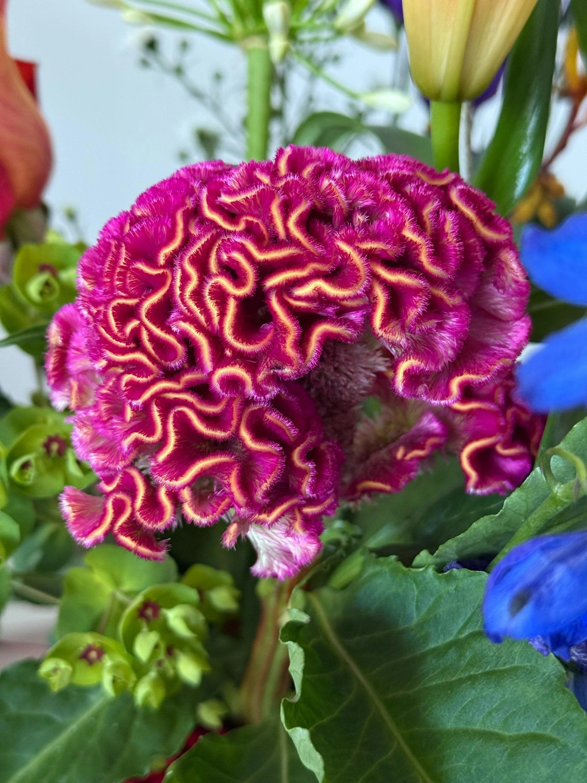 Bright pink flower resembling brain symbolizing neurodiversity