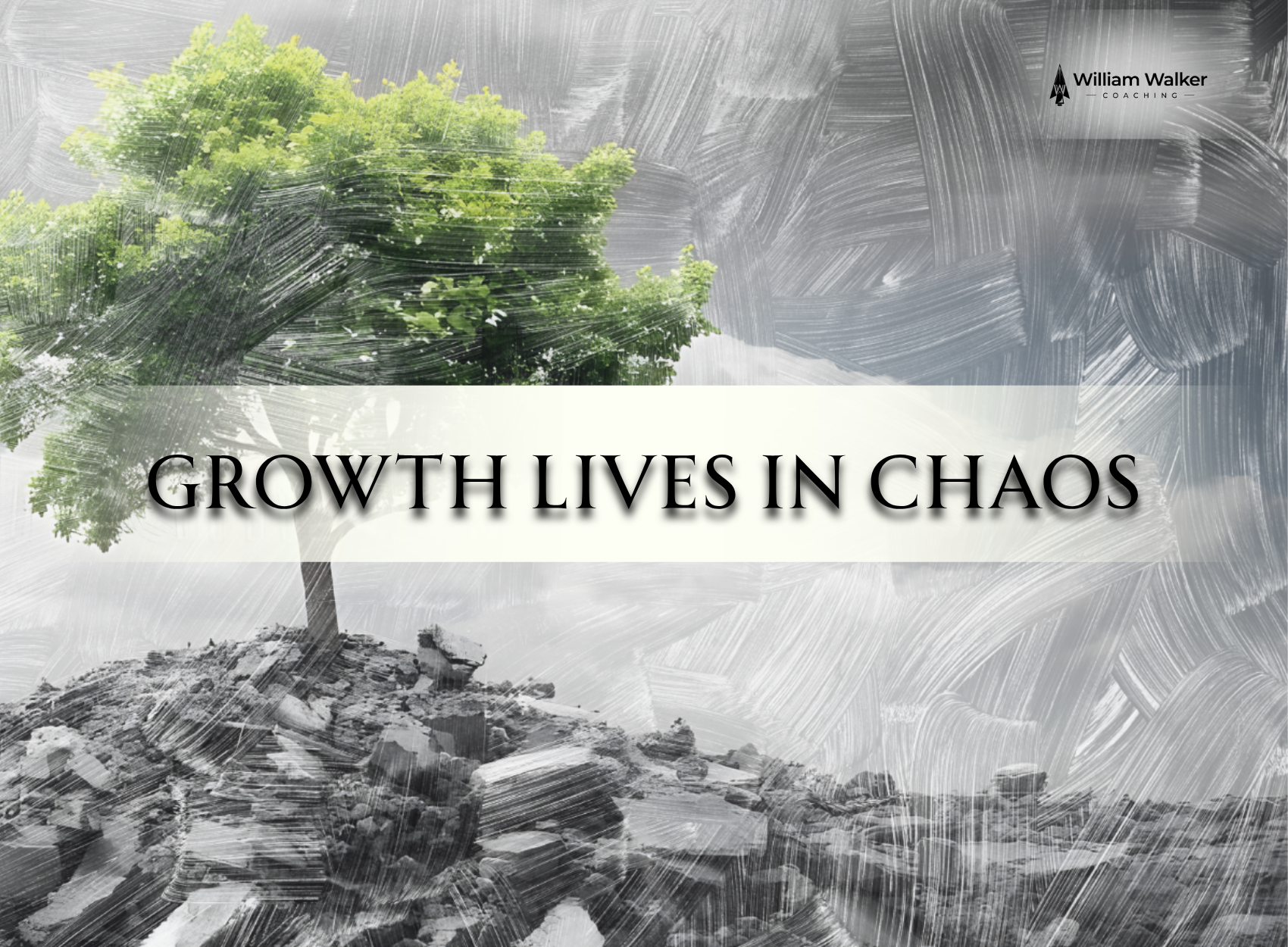 Thriving in Chaos: Why Christian Leaders Must Step Out