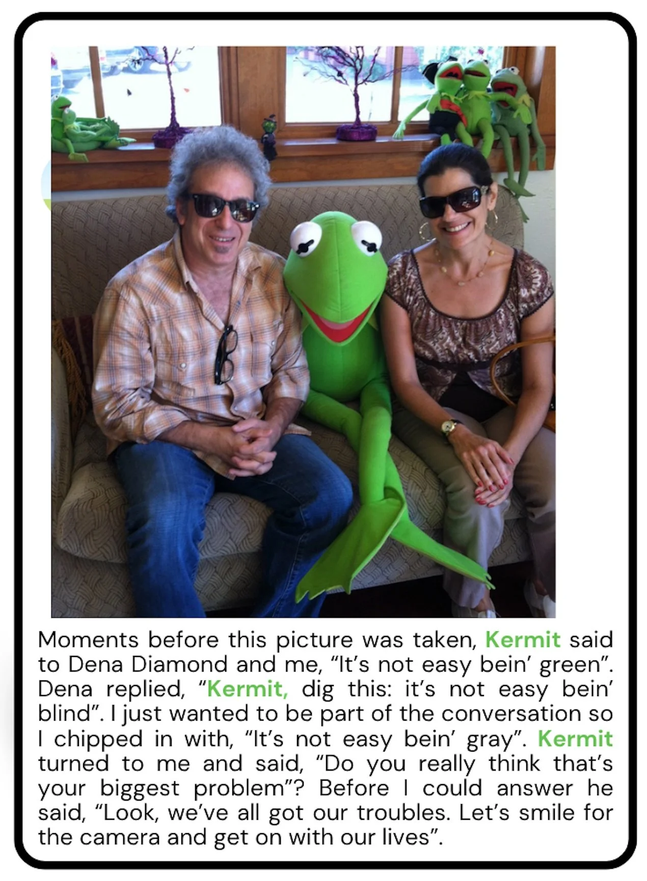 Kermit plus Copy.jpg