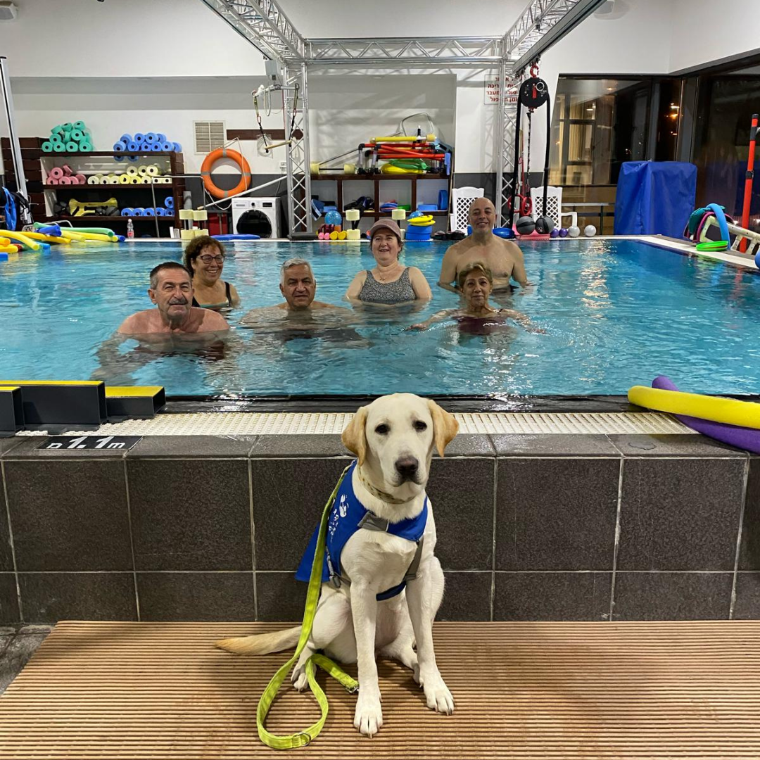 BH Hydrotherapy