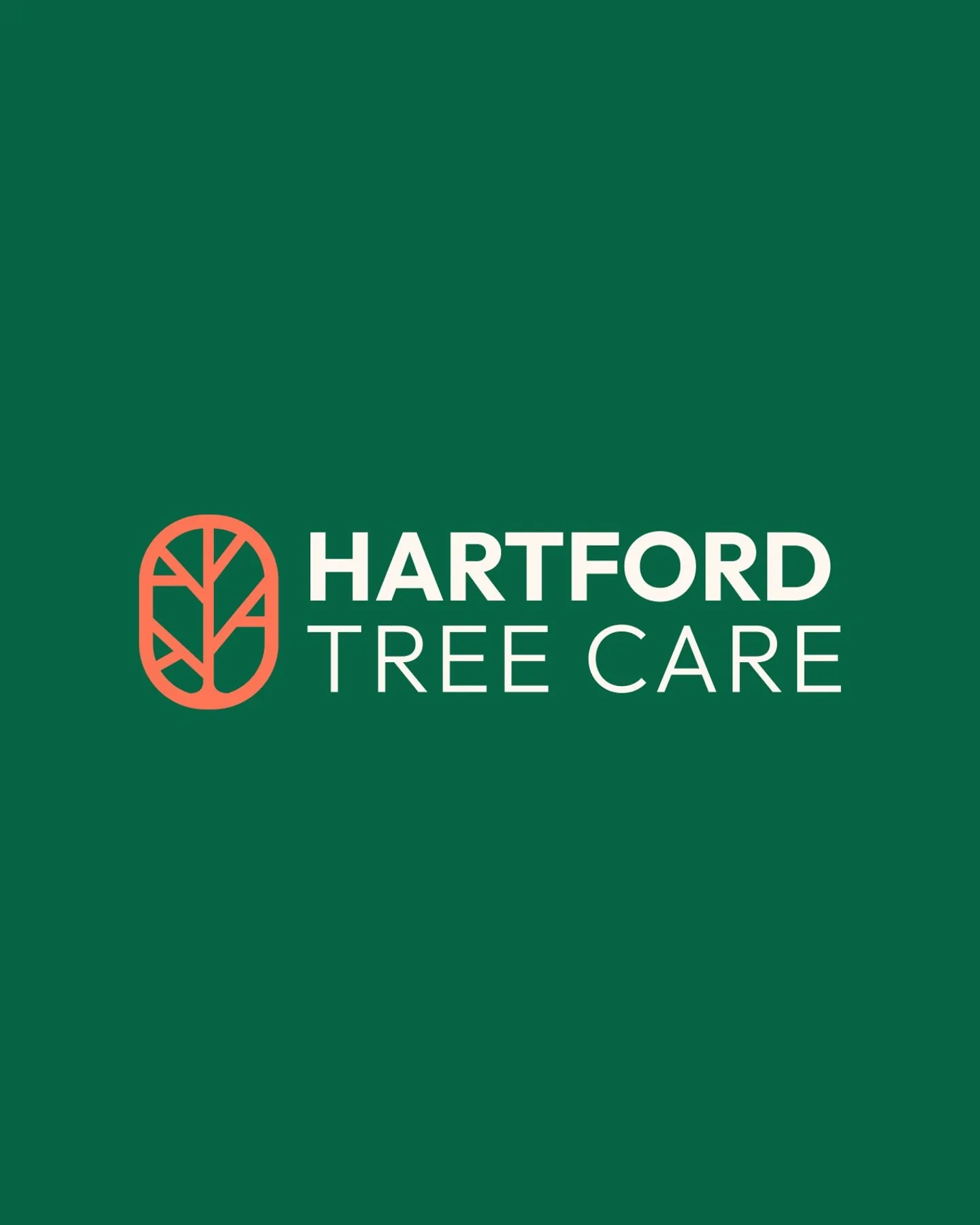 Hartford Tree Care.
We are a Northwich based Tree Surgery covering Cheshire and surrounding counties. We offer a full range of tree services to meet the needs of our clients far and wide. Our team are knowledgable, qualified, insured. You can be assu