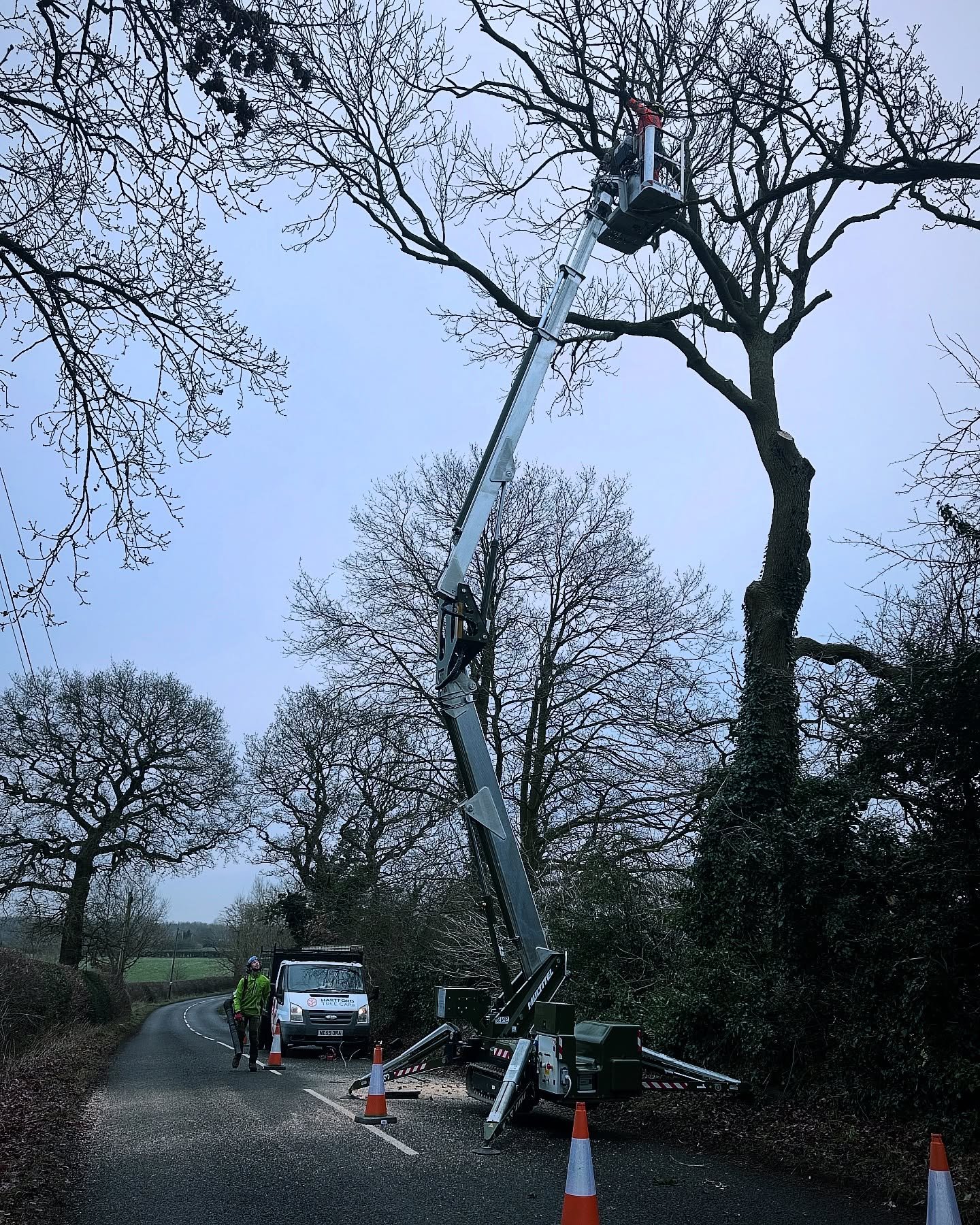Ash Dieback is a serious fungal disease killing Ash trees across Europe. This tree in particular on its way out with deterioration of the crown and stem. It&rsquo;s estimated only around 1-5% of trees will have a resistance to its effects. In this ca