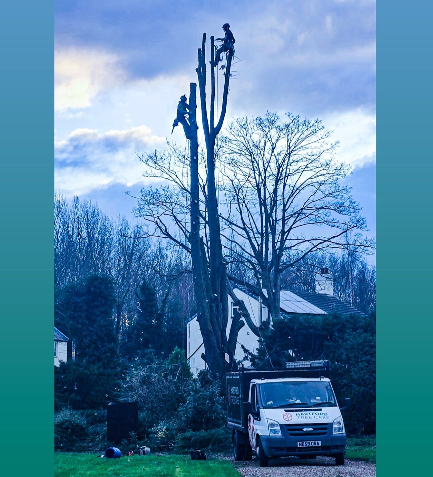 Large Conifer removal in Chester in the aftermath of Storm Darragh&hellip;

#tree #treesurgeon #arborist #treecutting #treefelling #chester #northwich #hartford