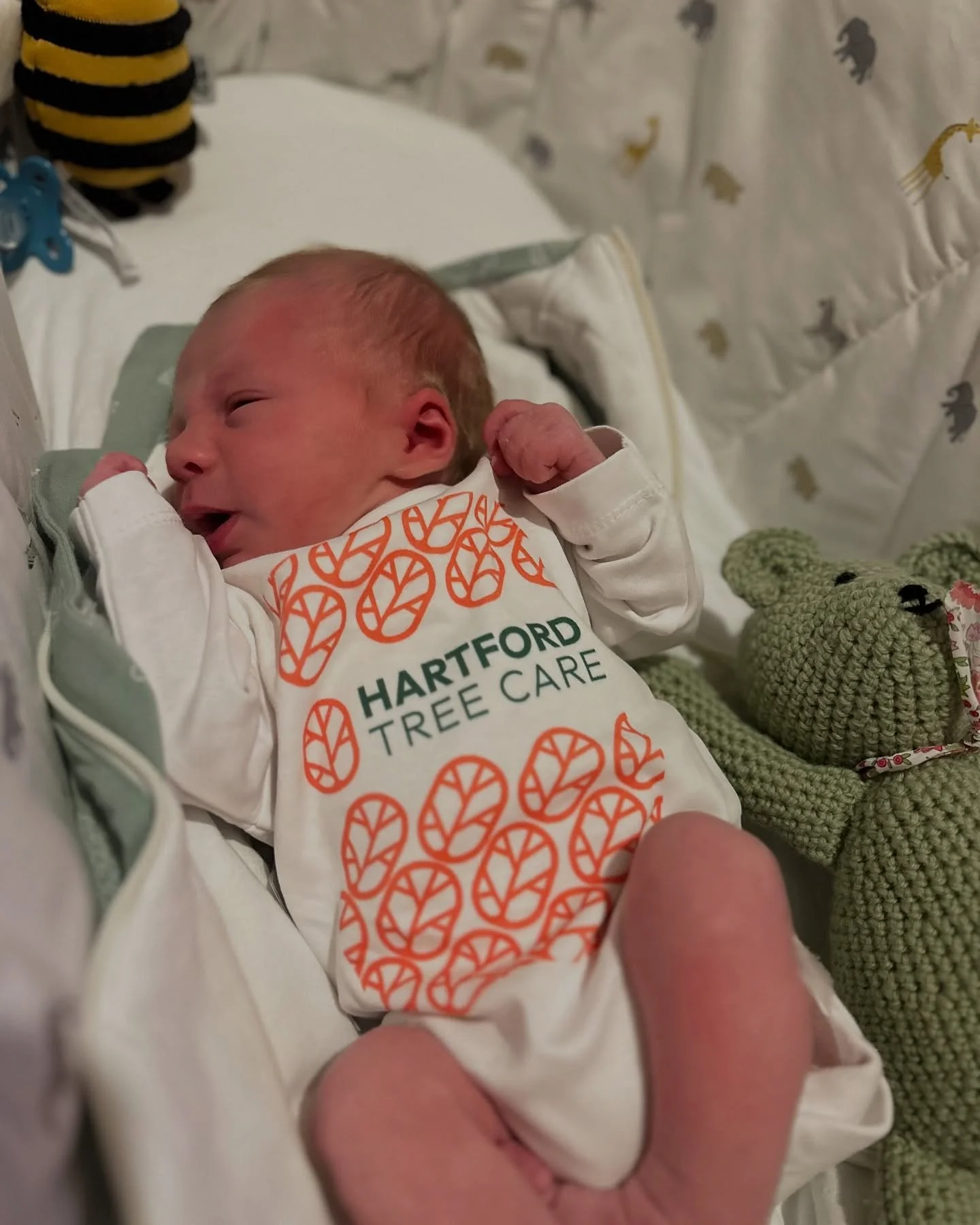 Welcoming the newest member of our team, Joshua!
Get in touch for a quote, he may tag along! 
Shameless marketing 😘