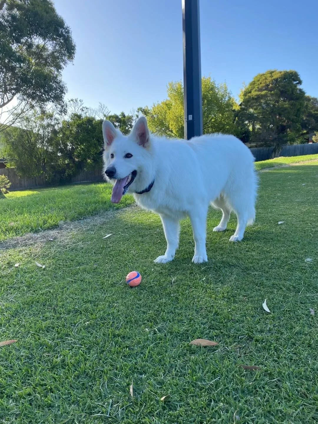 3d74c994e9fb6a4b50de0d4dcd936c57 2.JPG