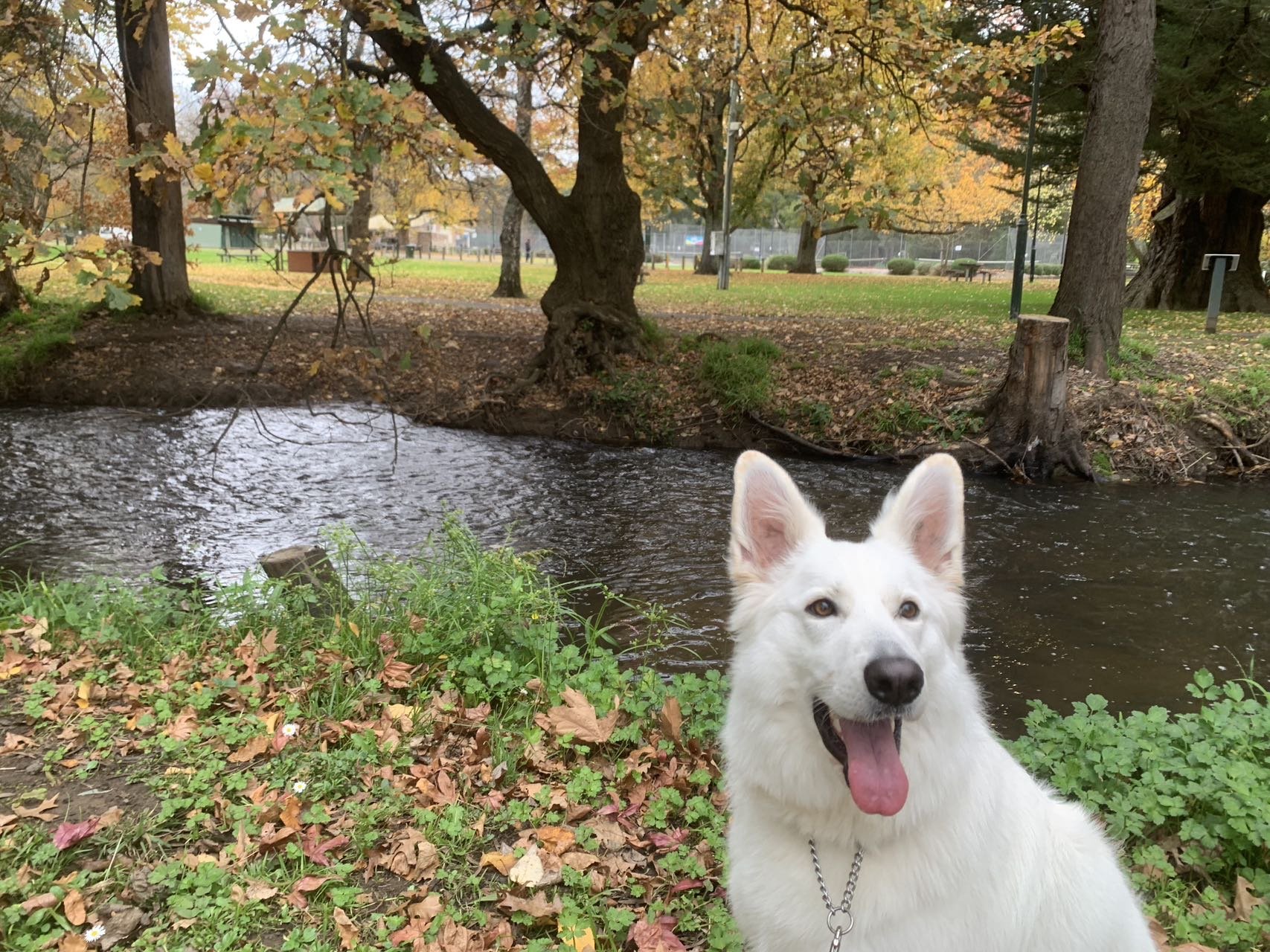 9f4c1da8e37f9c7d0968932ef2928a8b 2.JPG