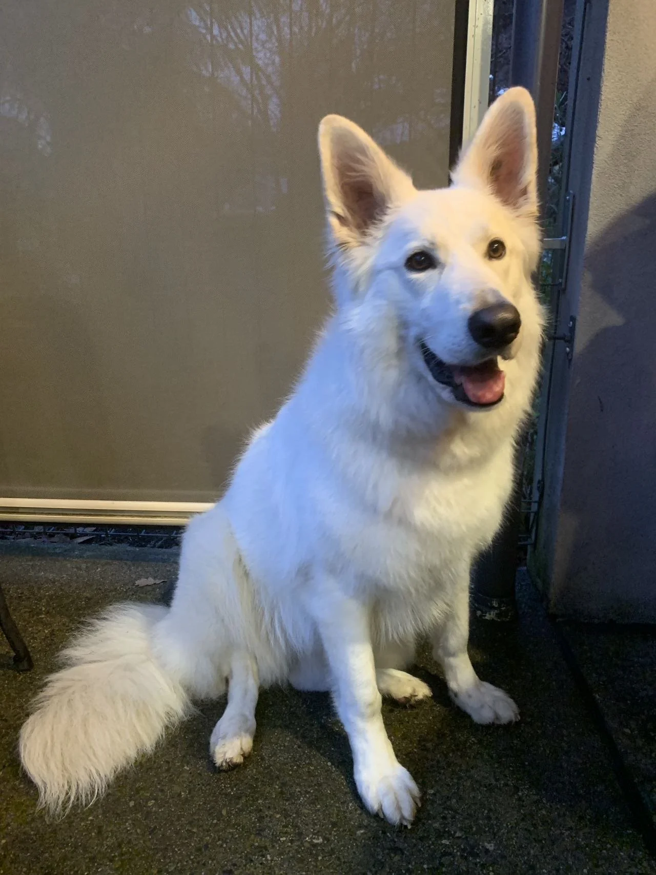 5685196c1ff00ed84576738c0ed5e6ac 2.JPG