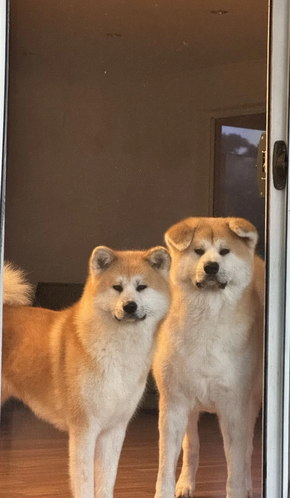 ead15f1211d9d2575c4e0d548e15dfd6 2.JPG