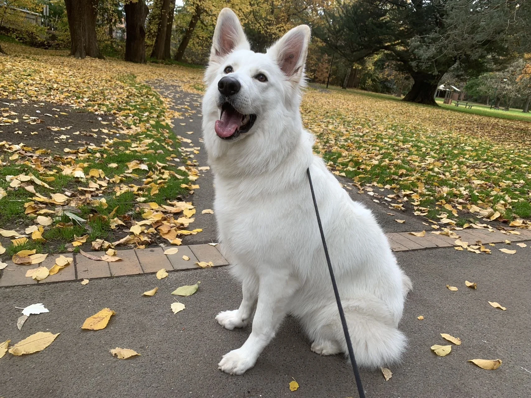 c25025ee279748594ff0b537a0cce6e1 2.JPG