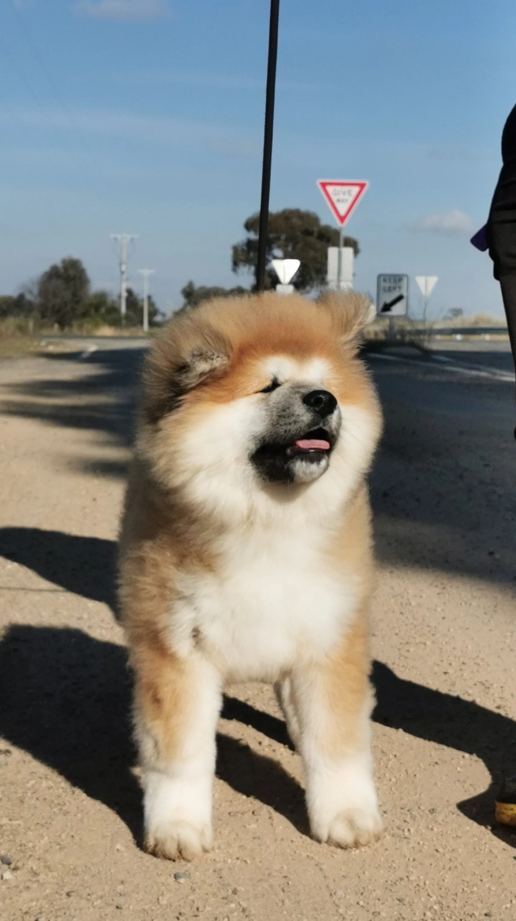 1671609145638_.pic_hd.jpg