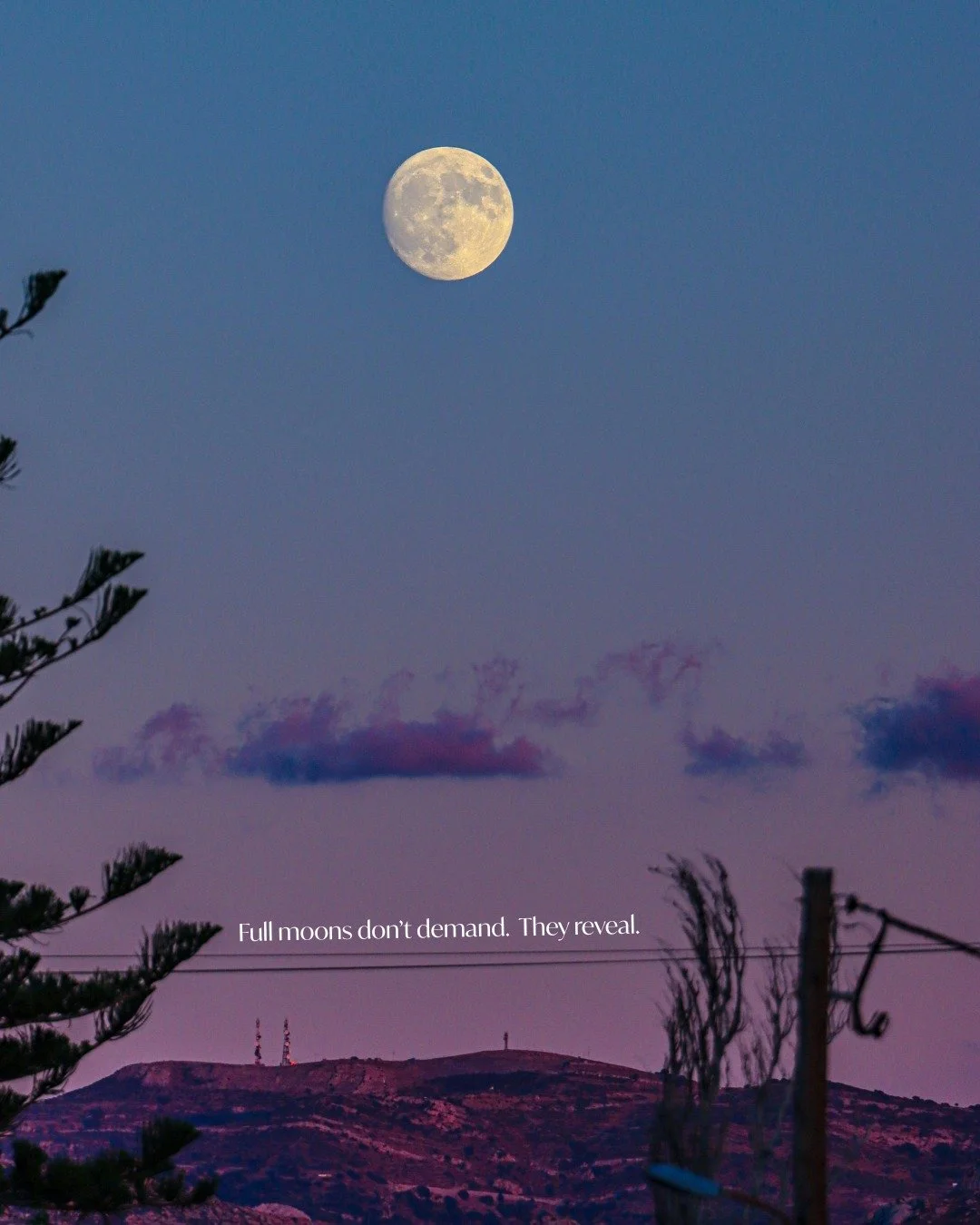 The Taurus full moon showed out. She was bright and she was bold. 

She&rsquo;s here to remind you of your body, your boundaries, and your bottom line energy: peace over pressure.

If your brand (or brain) has felt scattered, this is your cue to clea