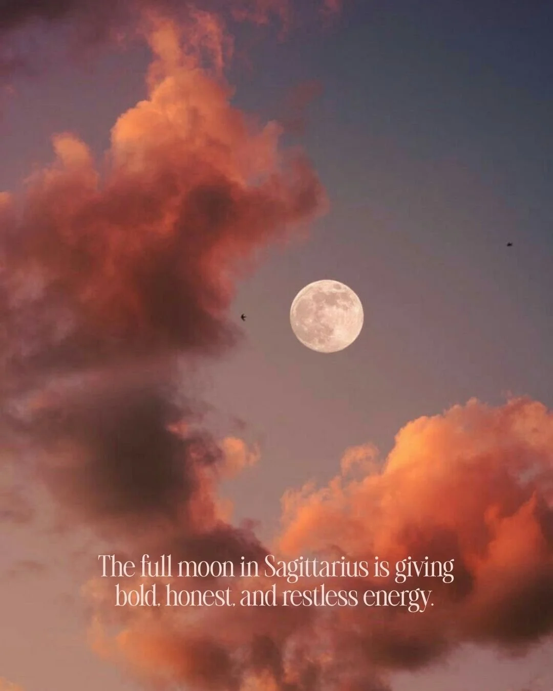 TRUTH OR DARE? 🏹🌕 The Sagittarius Full Moon is here, bringing his wild adventures and unfiltered honesty. Want to play a game with us?

CHOOSE TRUTH: What part of your real estate brand feels performative? The graphics, the captions, the tone (ahem