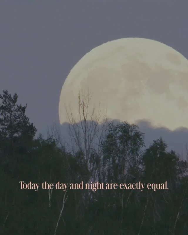 Today the day and night are exactly equal, and it will not happen again until March. The market is not headed toward that kind of balance. Showings have slowed in most markets as rates have increased.

The instinct when business slows is to go quiet.