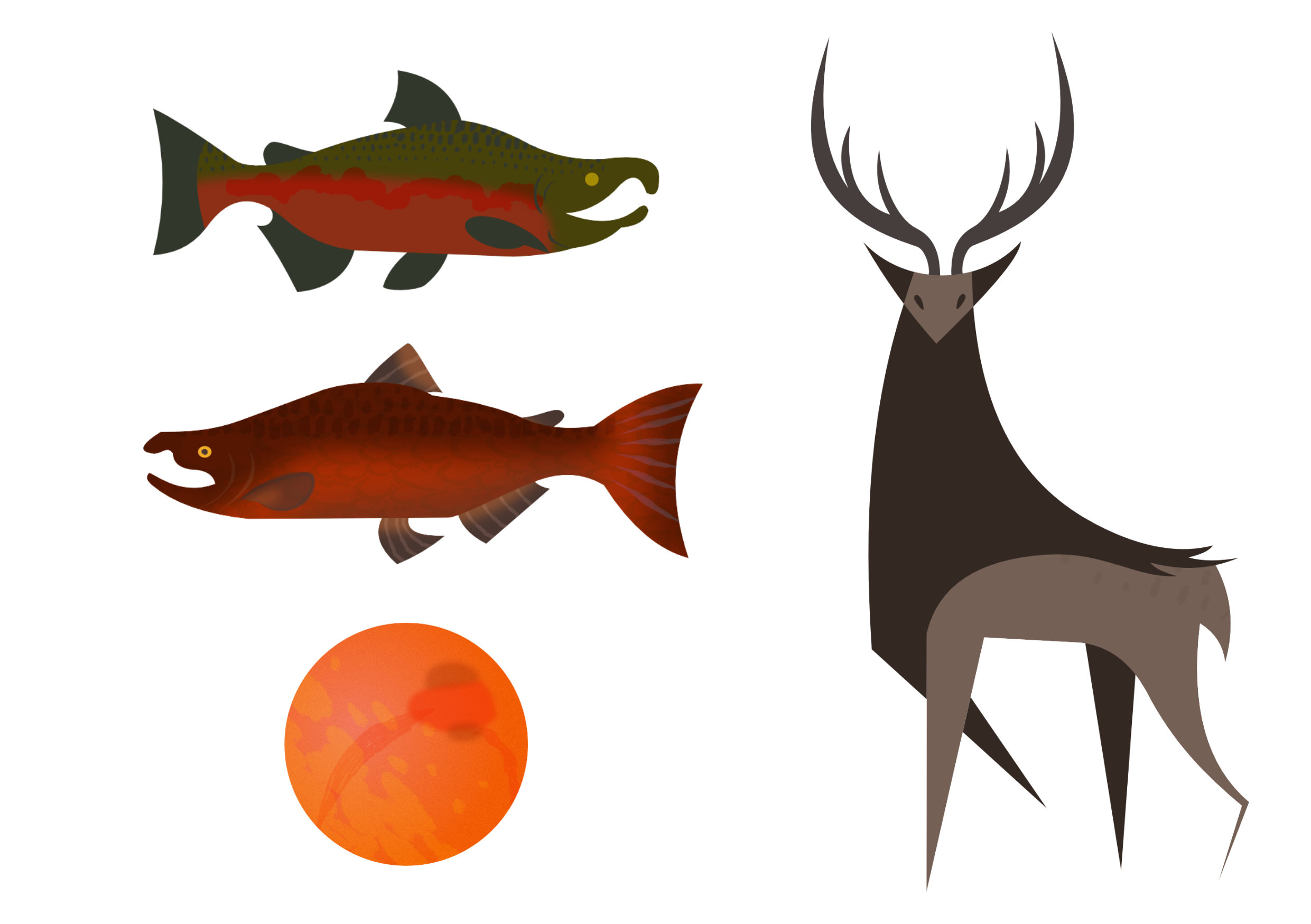  Icons of a Coho Salmon, Chinook Salmon, Salmon egg, and Elk, all local to the Necanicum Basin in Oregon WA. 