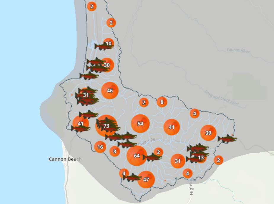  A map showing where restoration work was being done in the Necanicum Basin. I did not create this map, but illustrated the icons used in it. Salmon eggs were used to show projects that were in progress and the Coho Salmon was used to represent proje