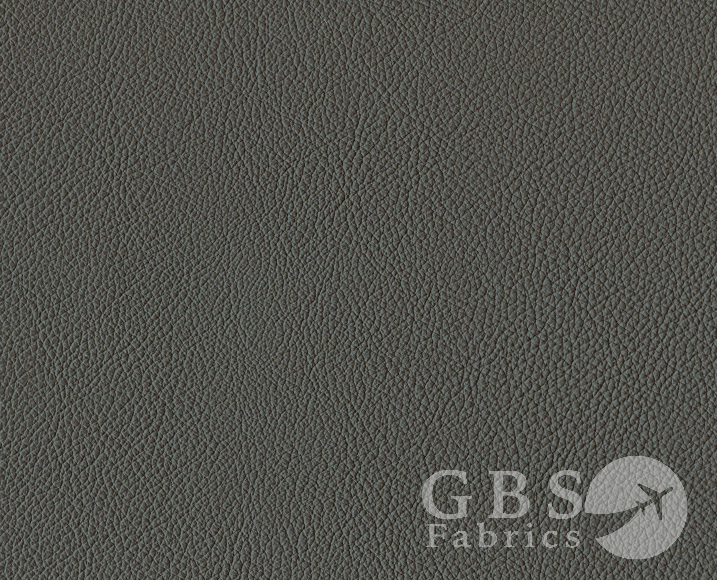 Pewter - Passport WM.png