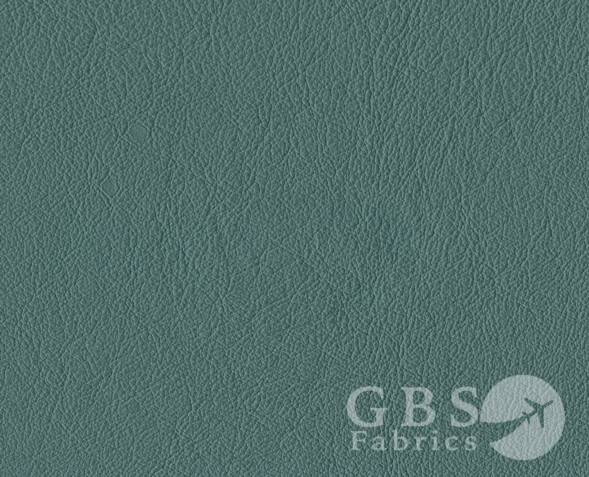 Evergreen - Passport WM.png