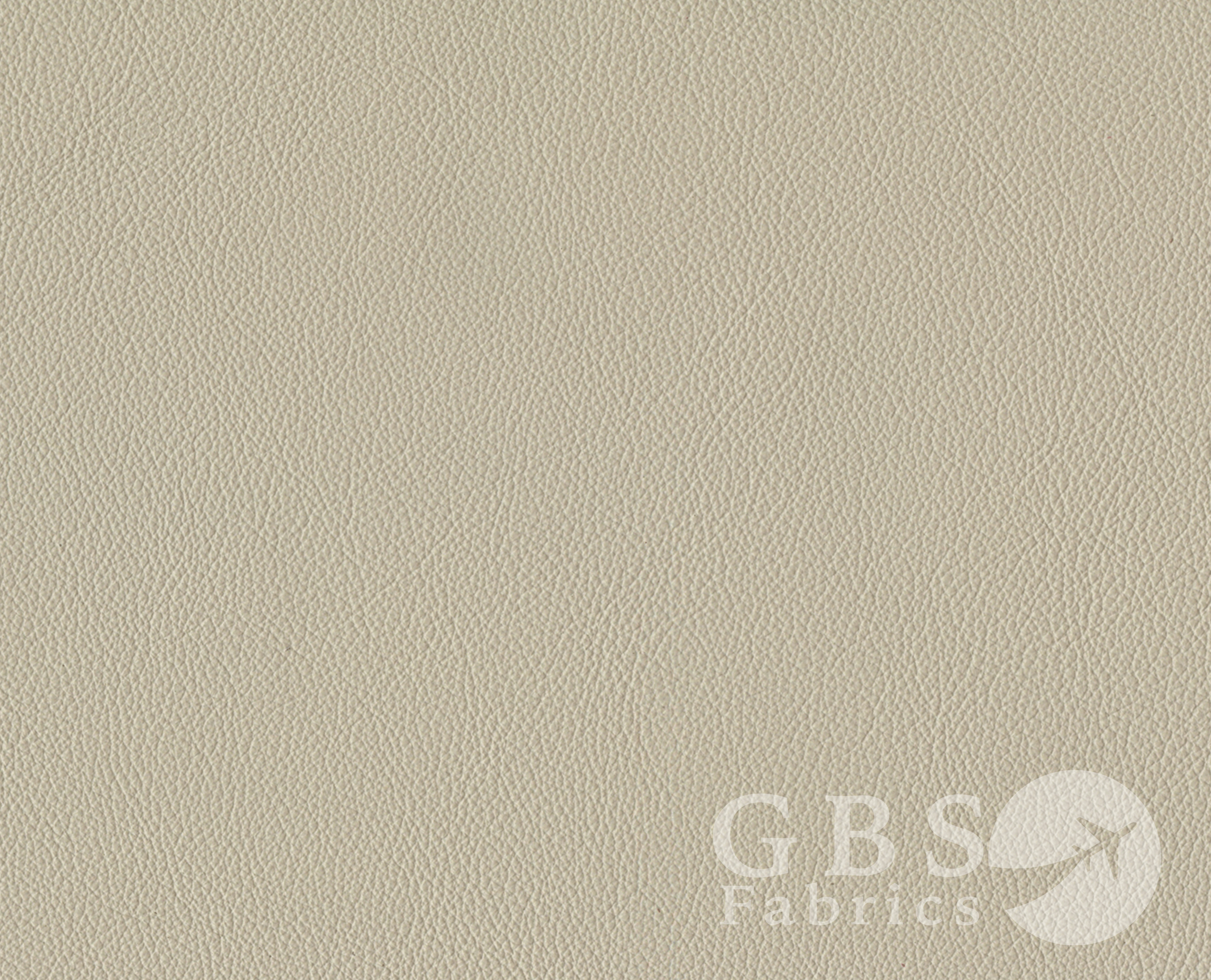 Pebble - Passport WM.png