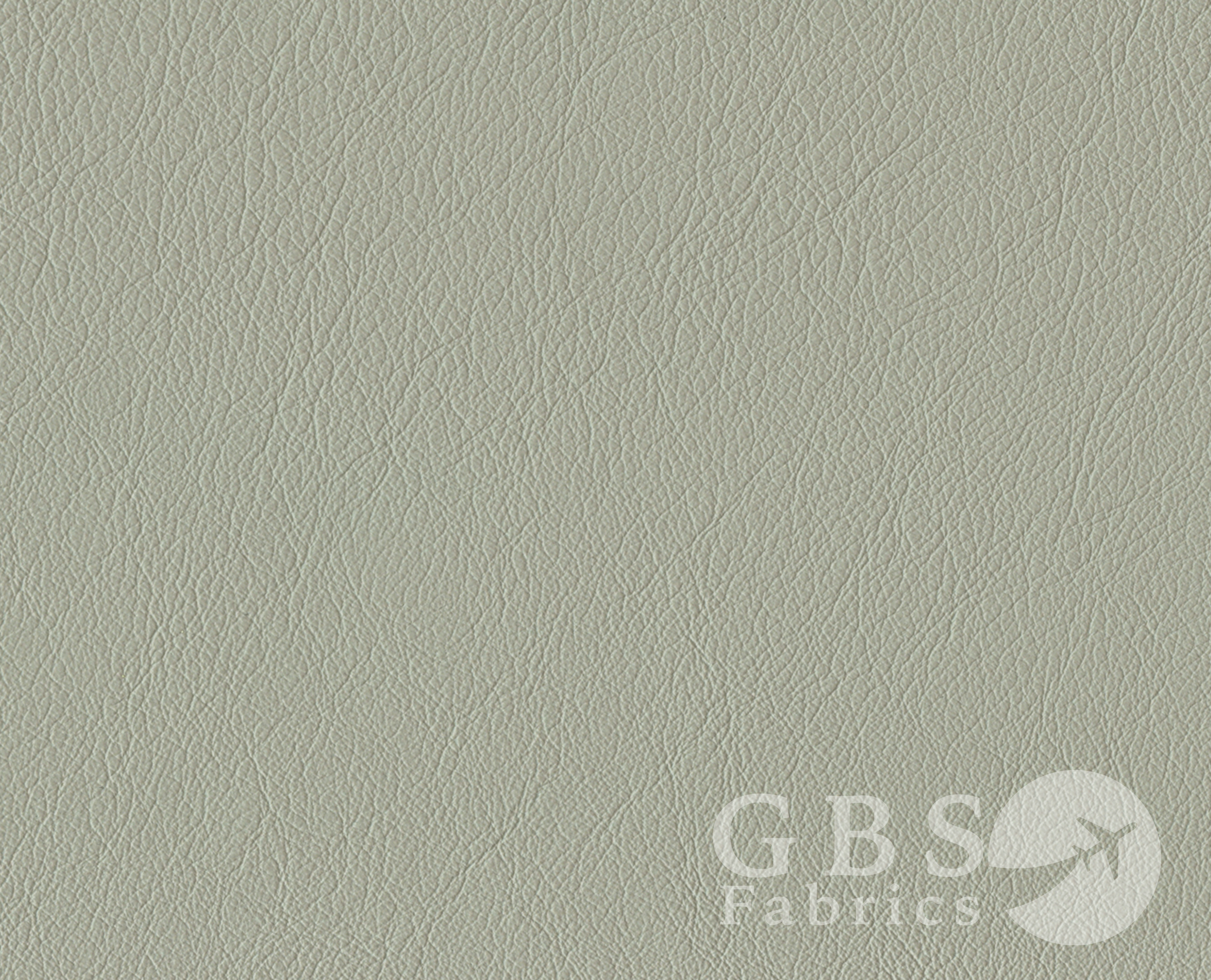 Mica - Passport WM.png