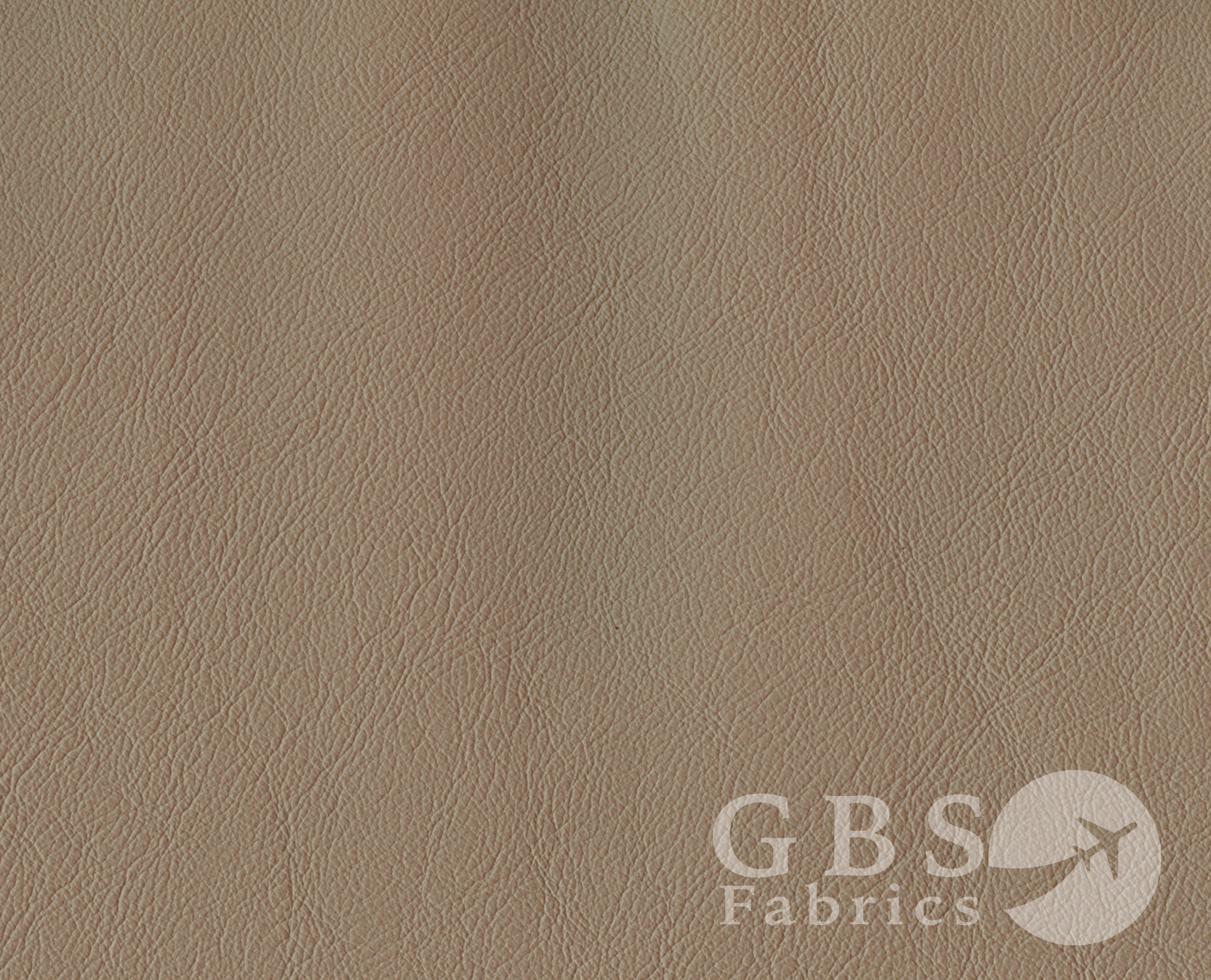 Putty - Passport WM.png