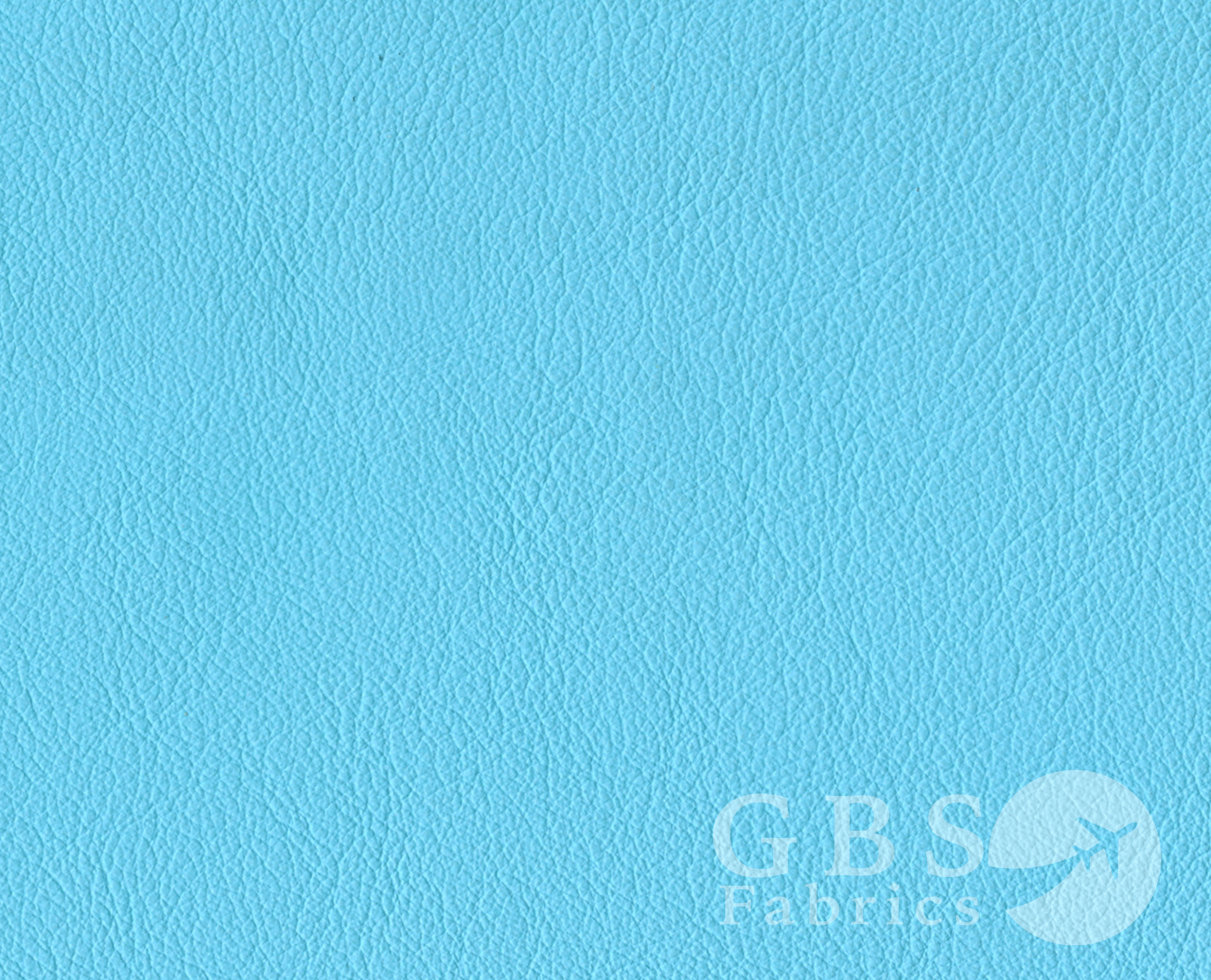 Turquoise - Passport WM.png