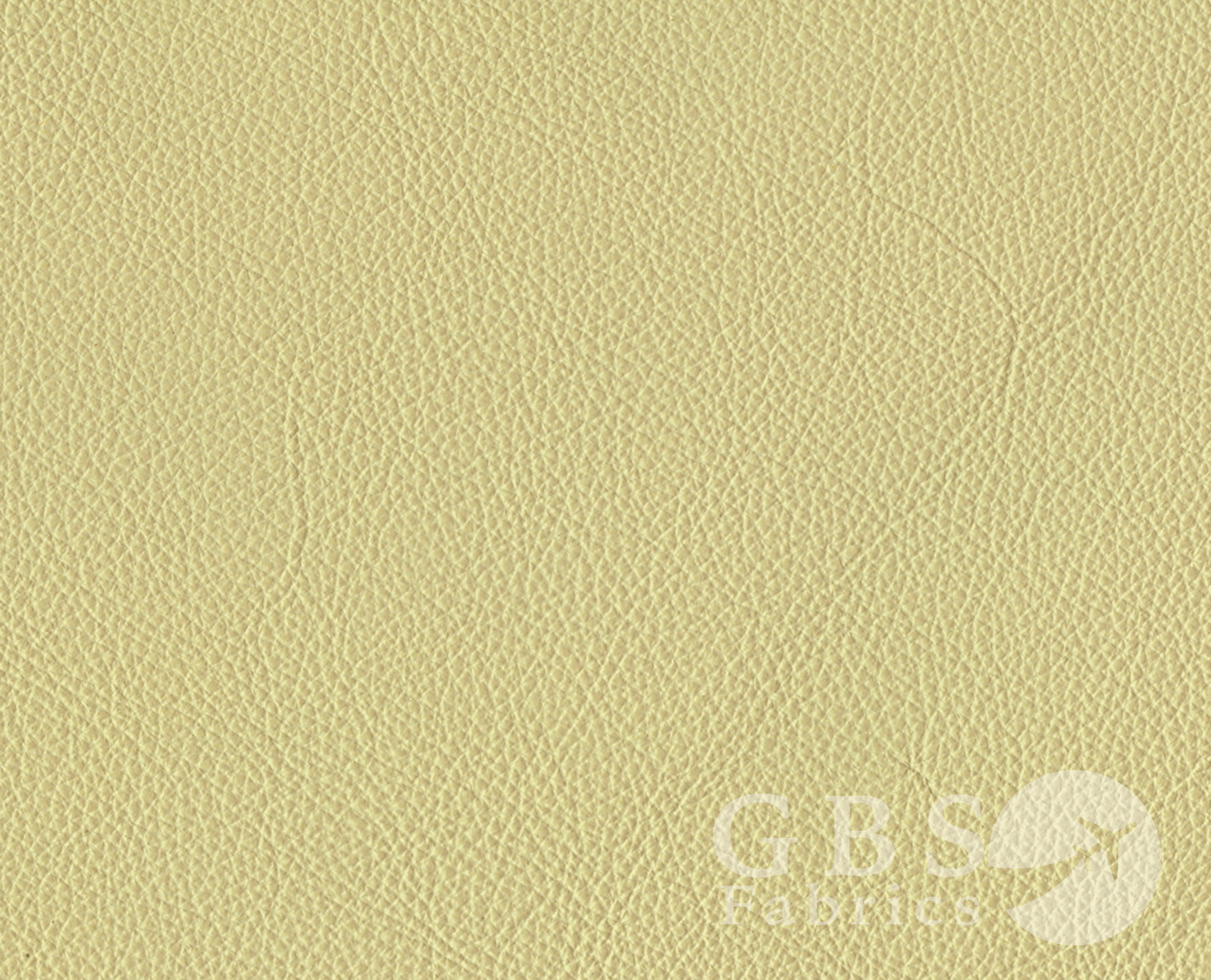 Dawn - Passport WM.png