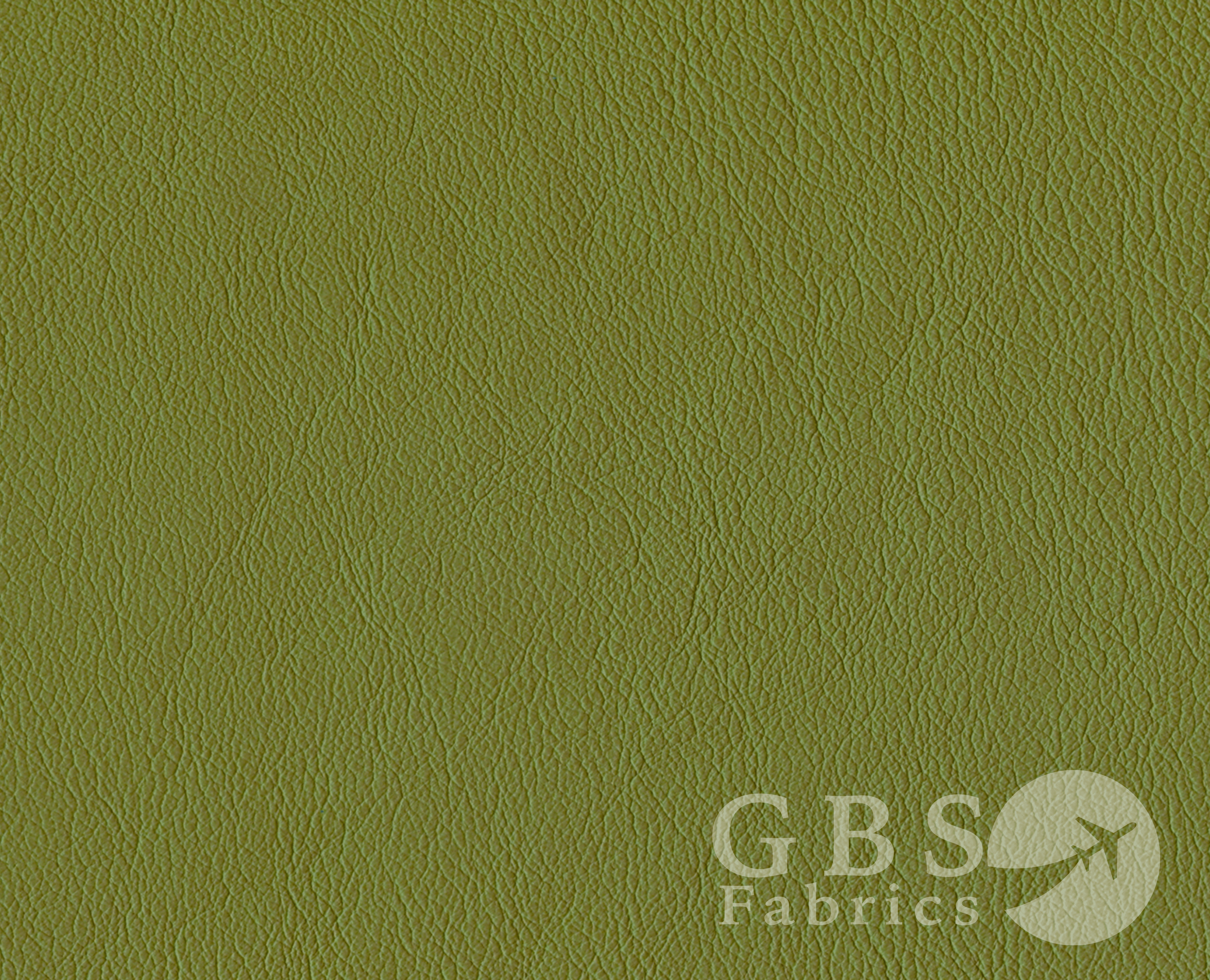 Fern - Passport WM.png