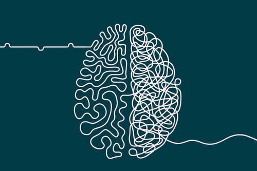 Il·lustració de cervell