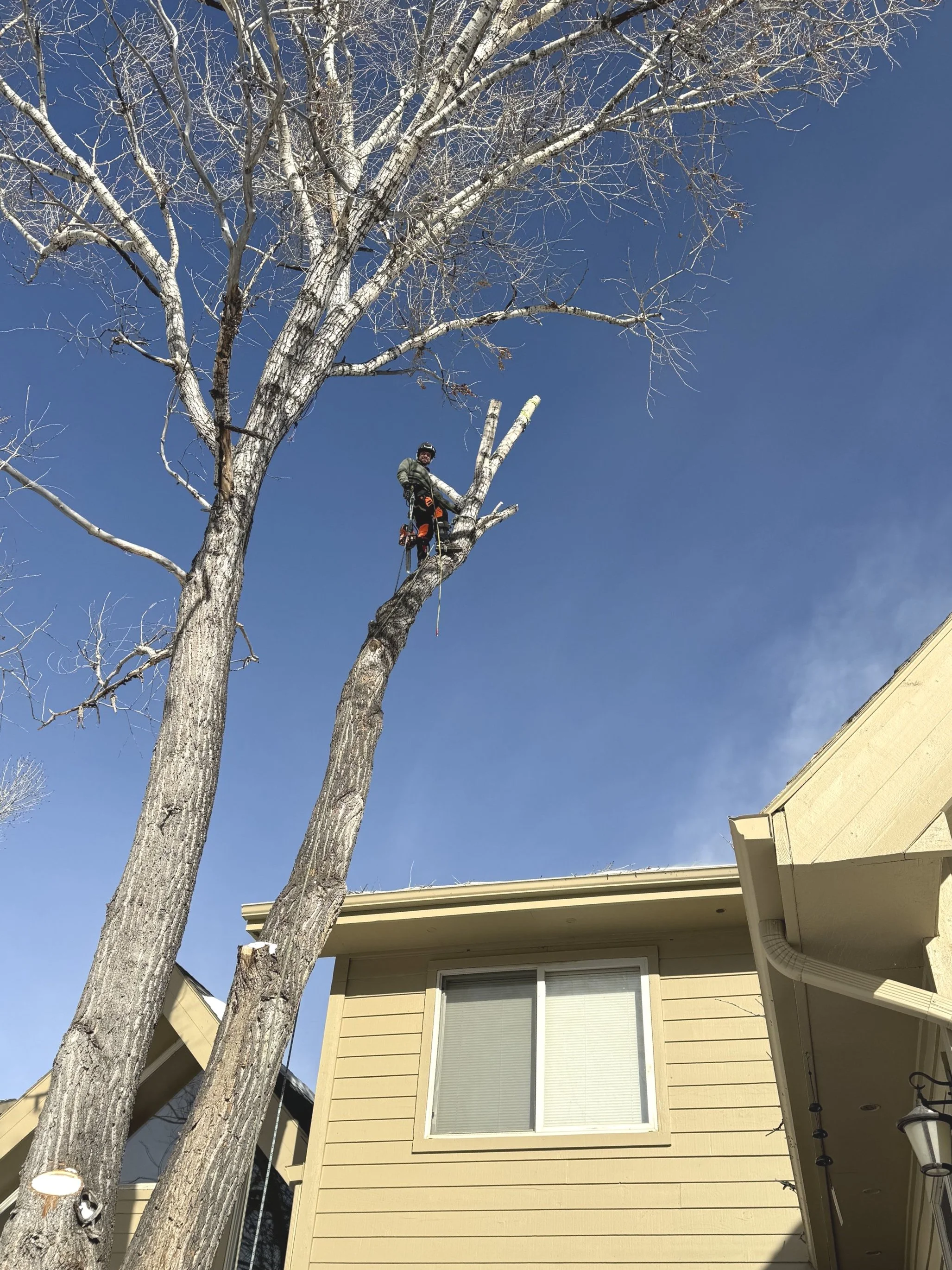 Oranssi project: passive house