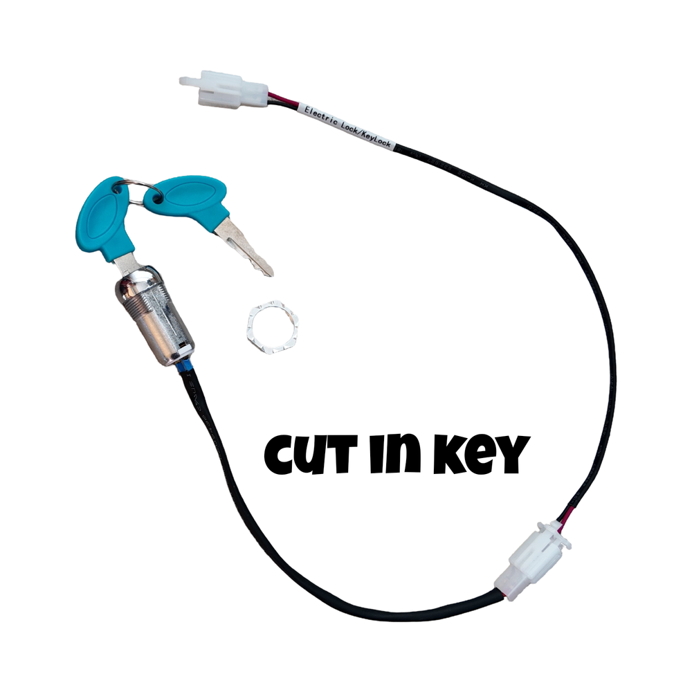 Vevor Plug N' Play Key Options For Modded Razors — Electric Moto