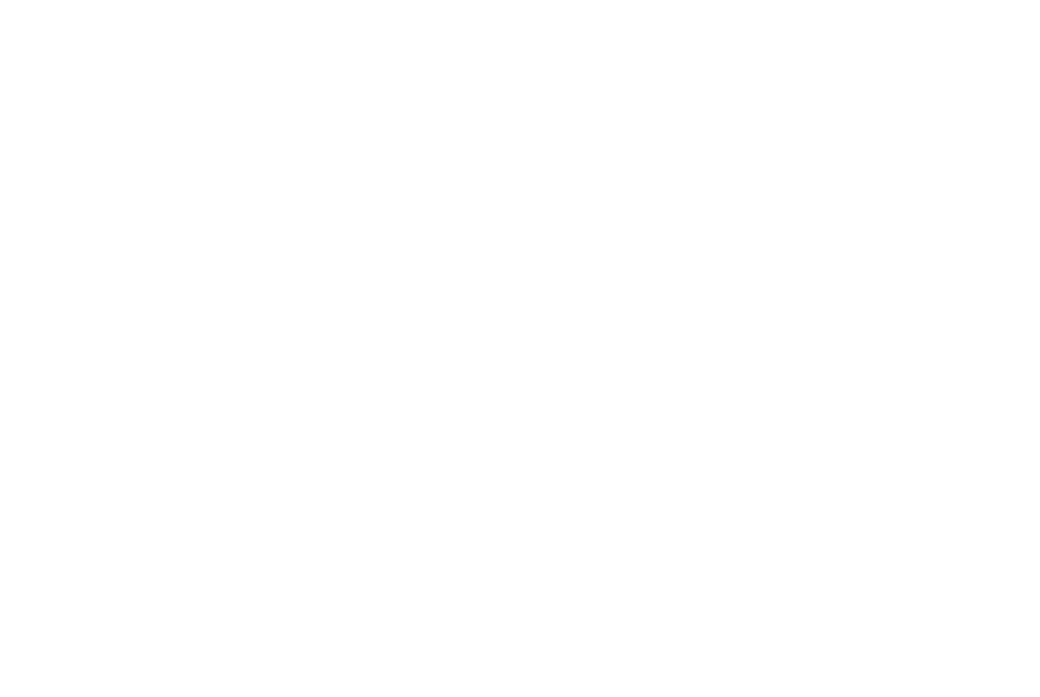 SILVER CAN WATER