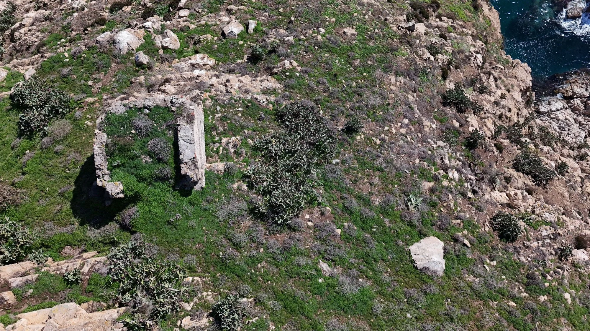 DJI_20251217123803_0732_D.JPG