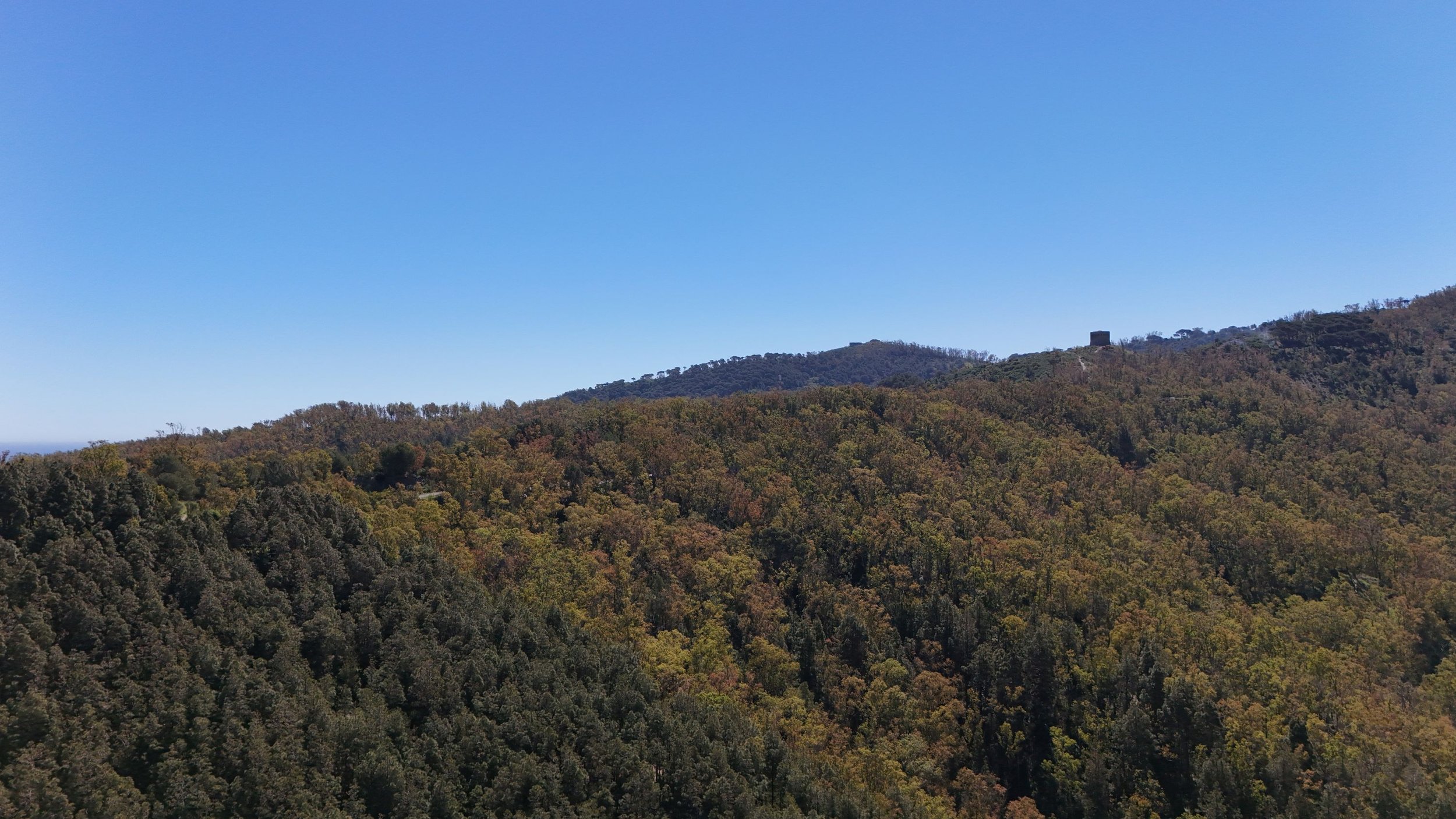 DJI_20260415123615_0193_D.JPG