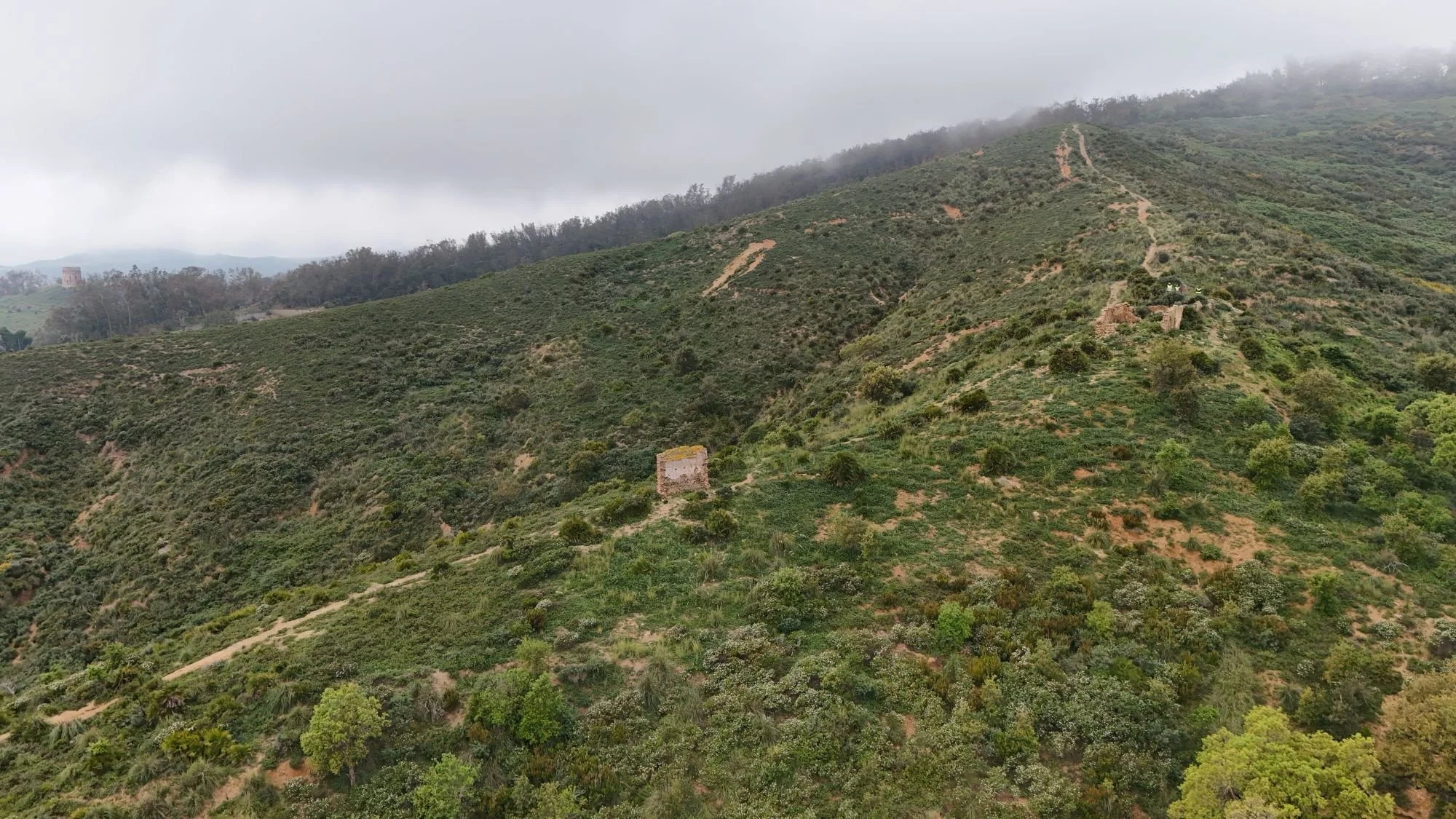 DJI_20260421125215_0018_D.JPG