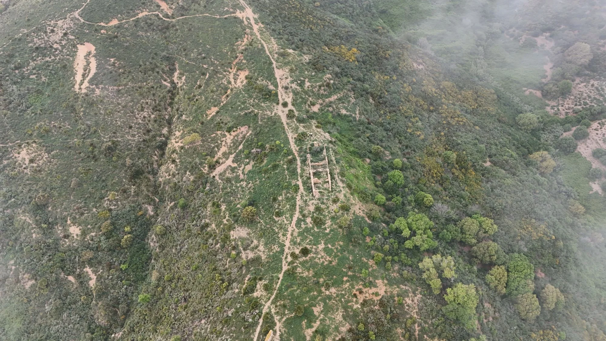DJI_20260421123005_0006_D.JPG