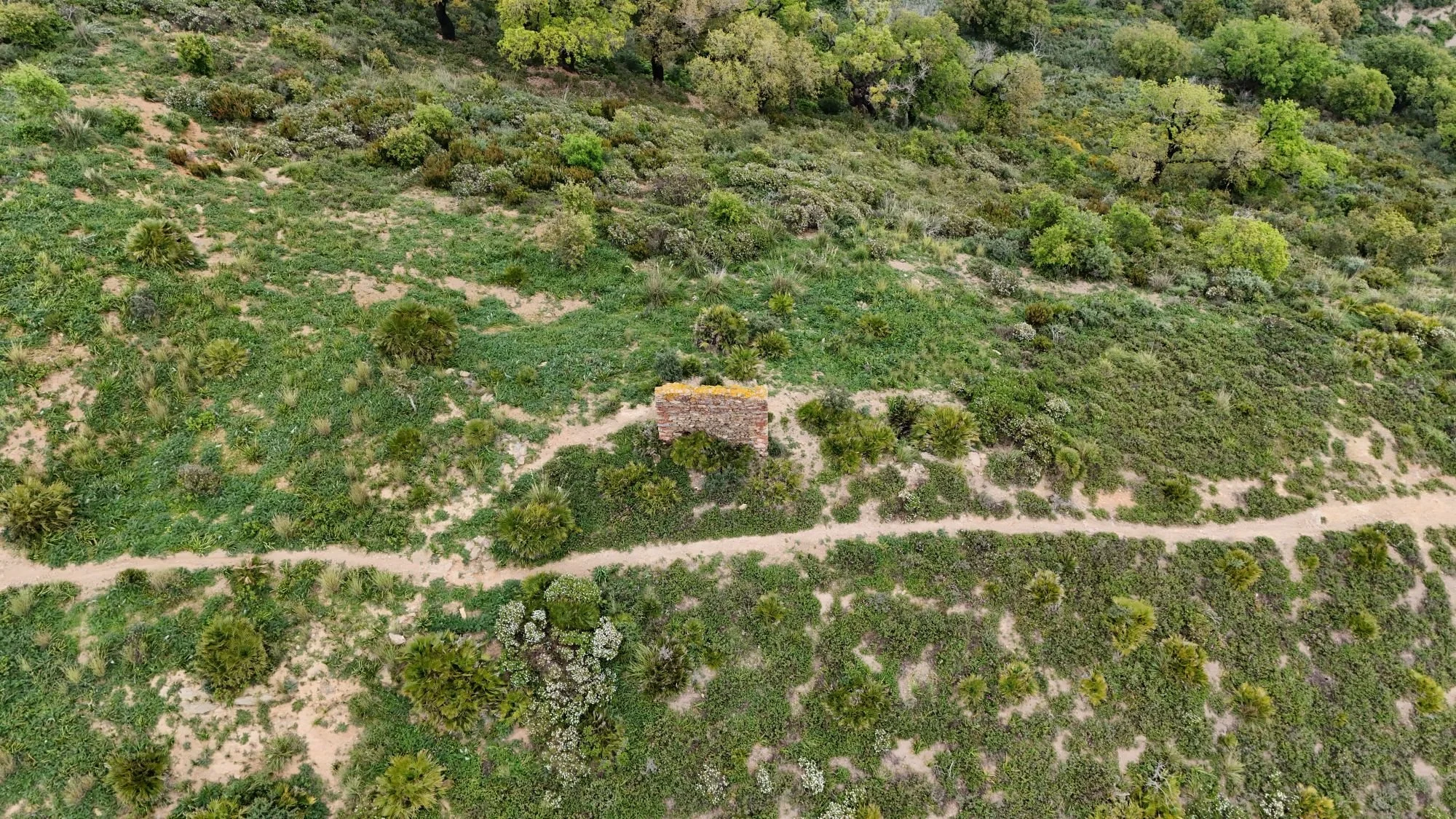 DJI_20260421125703_0021_D.JPG