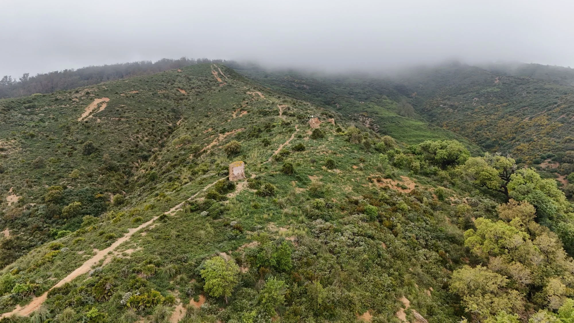 DJI_20260421123300_0010_D.JPG