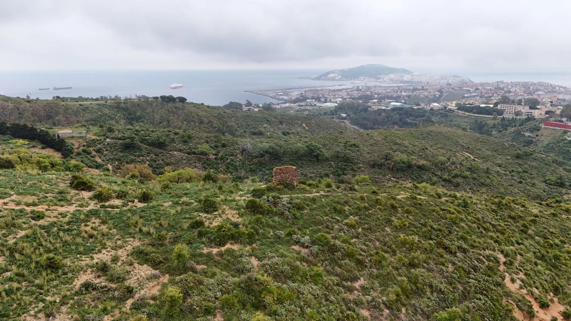 DJI_20260421125007_0016_D.JPG