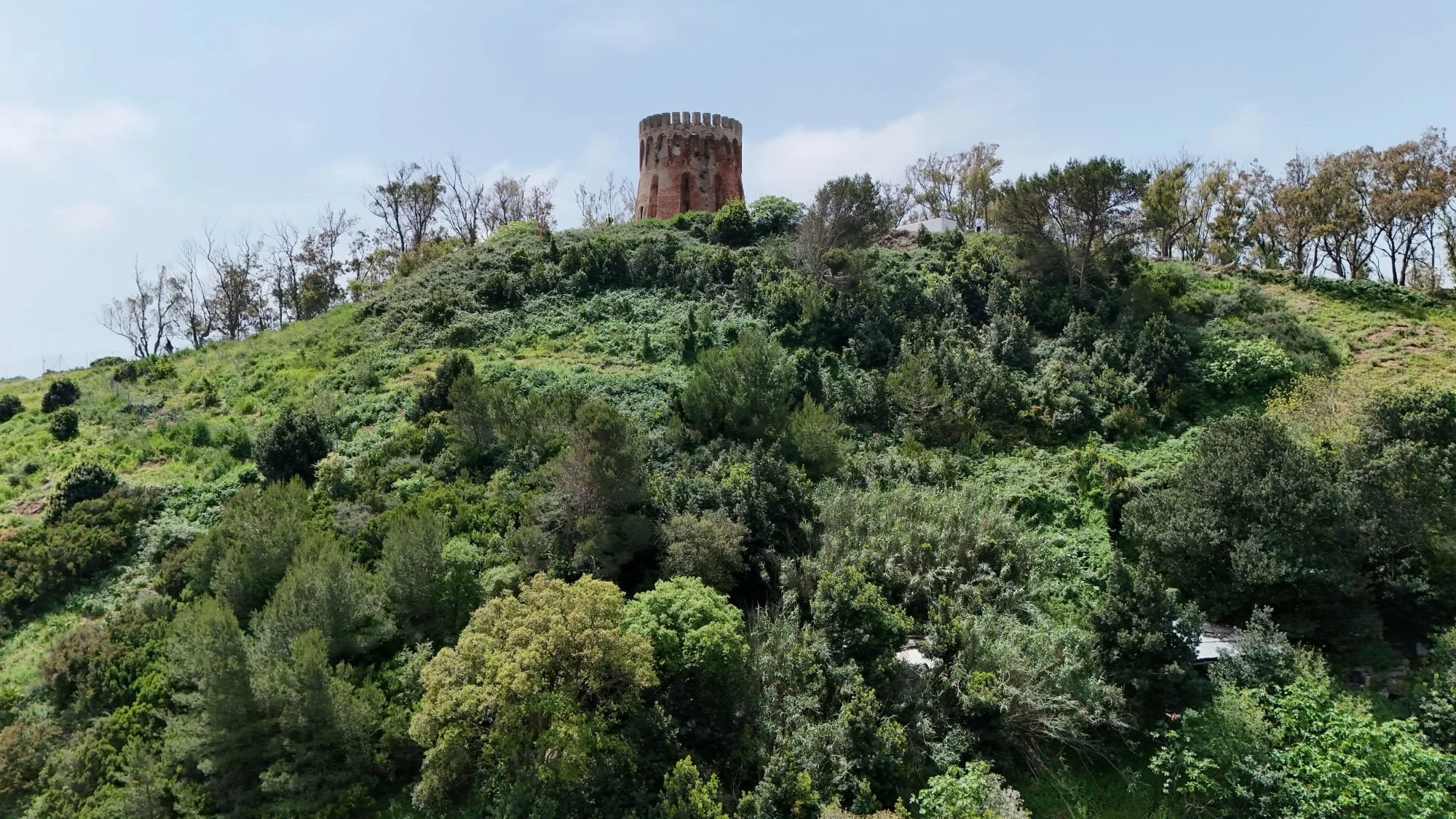 DJI_20260420133421_0353_D.JPG