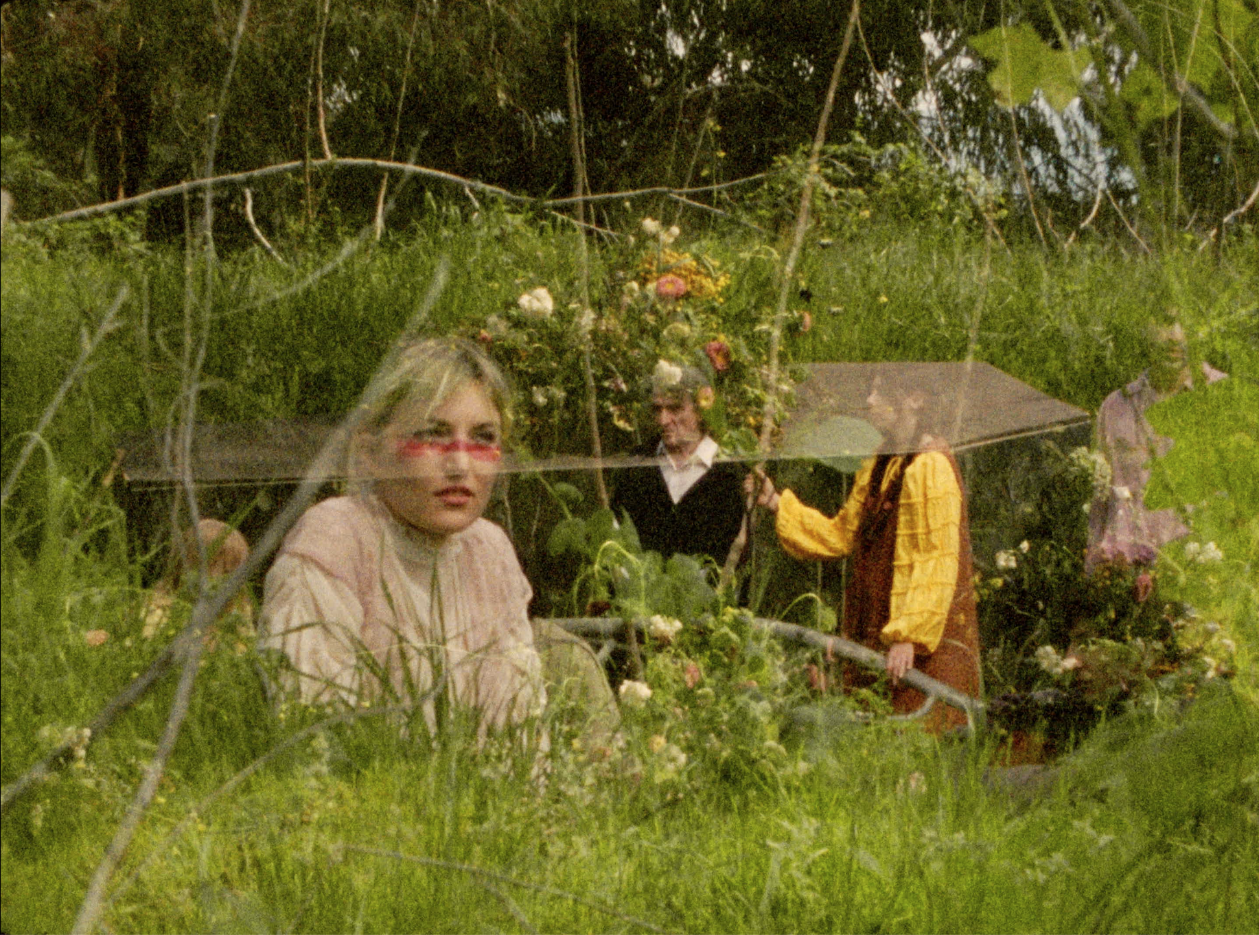 Screen Shot 2024-06-23 at 7.04.37 PM.png