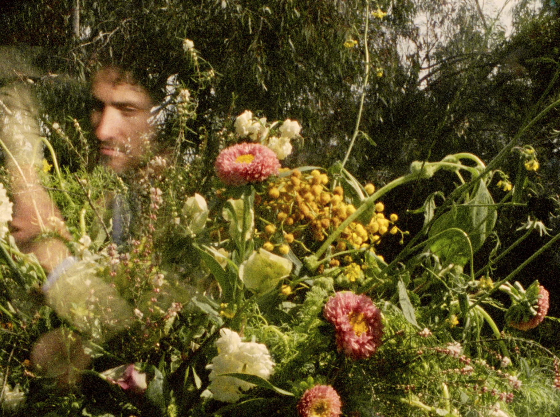 Screen Shot 2024-06-23 at 7.04.51 PM.png